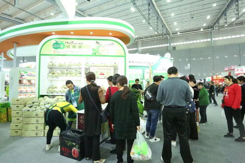 绿叶水果闪耀农交会，编程猫温州中心赋能现代农业新未来